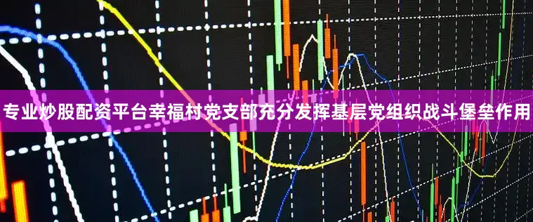 专业炒股配资平台幸福村党支部充分发挥基层党组织战斗堡垒作用