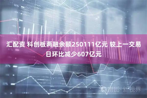 汇配资 科创板两融余额250111亿元 较上一交易日环比减少607亿元