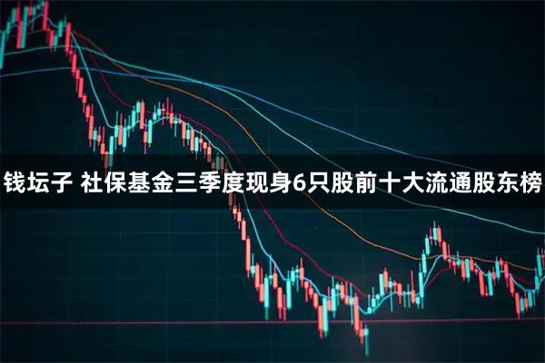 钱坛子 社保基金三季度现身6只股前十大流通股东榜